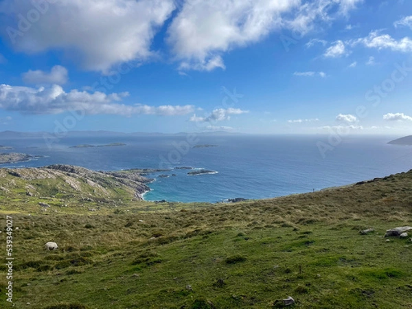 Fototapeta Rugged coast