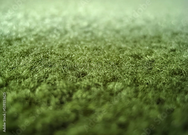 Obraz Green Carpet Closeup