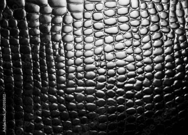 Obraz Black leather snake texture