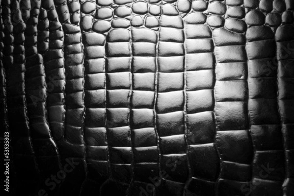 Obraz Black leather snake texture