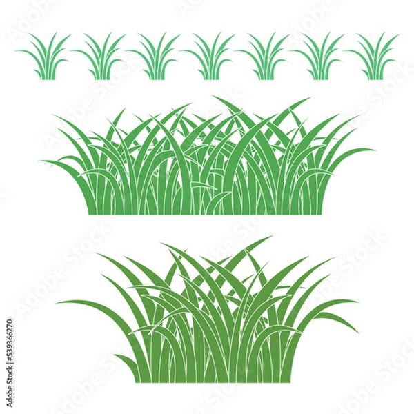 Fototapeta set of colorful green grass object on white background, vector illustration