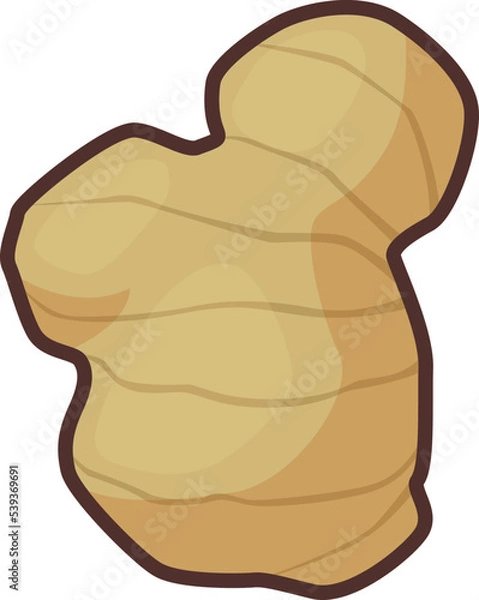 Fototapeta シンプルでかわいいショウガのイラスト