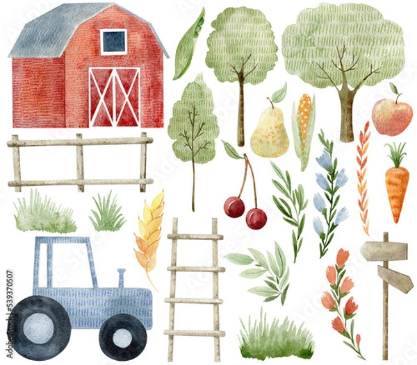 Fototapeta Set of watercolor farm elements. PNG with transparent background.