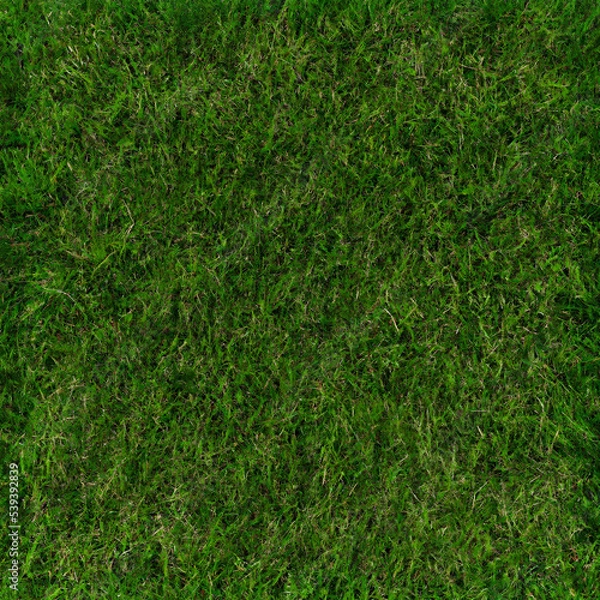Fototapeta green grass texture