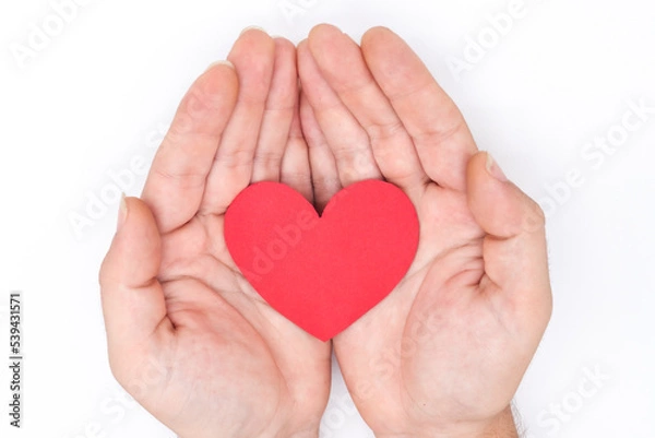 Fototapeta hands holding a paper heart on a white background as a concept of cardiovascular health, heart problems, heart attacks, love, feelings,