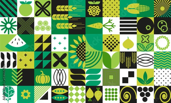 Obraz Abstract background of organic agricultural vegetarian food and simple figures in Bauhaus geometric style