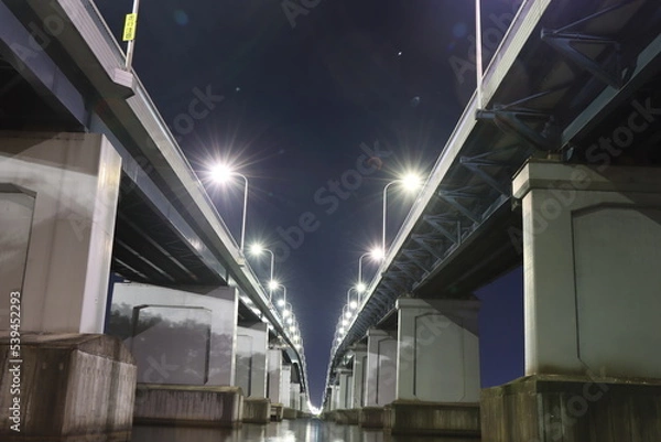 Obraz 琵琶湖と琵琶湖大橋