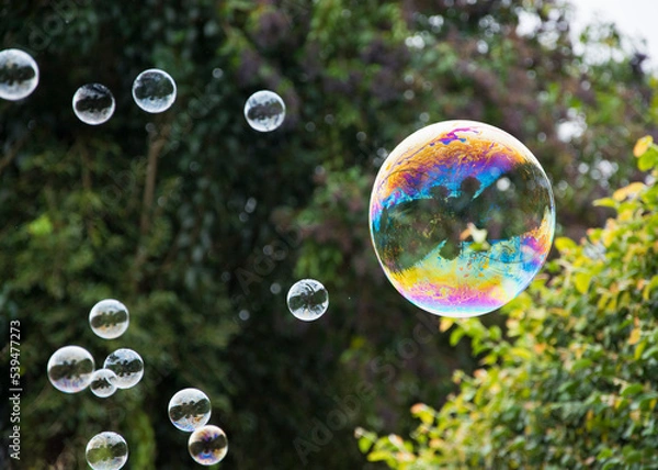 Obraz soap bubbles