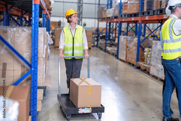 Fototapeta Warehouse worker use trolley carry carton box walk along the steel racking shelf looking for storage area on the correct location ready for barcode scan later