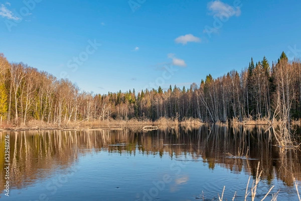 Obraz Spring flooding in Siberia