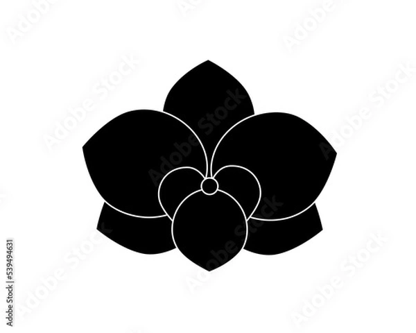 Obraz Flat flower icon - orchid. Vector image