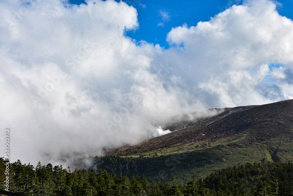 Obraz 信州紅葉の名所　志賀高原の色づいた山々