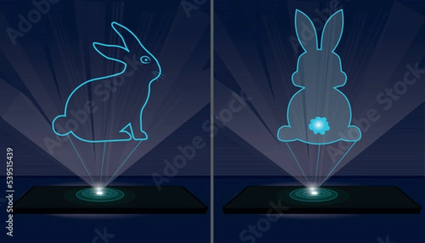 Obraz Two laser holographic projections of a rabbit.