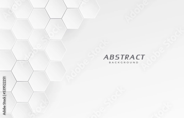 Obraz geometric hexagon concept white background