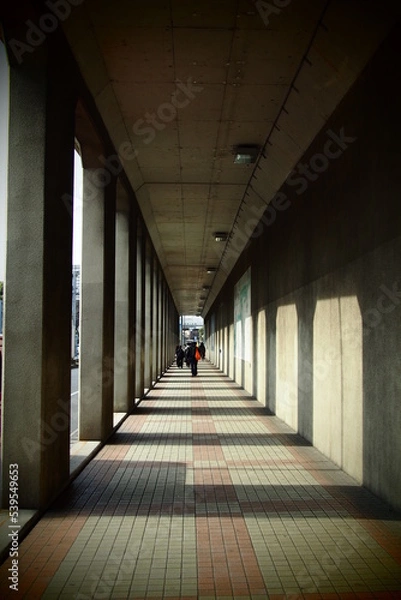 Fototapeta OLYMPUS DIGITAL CAMERA