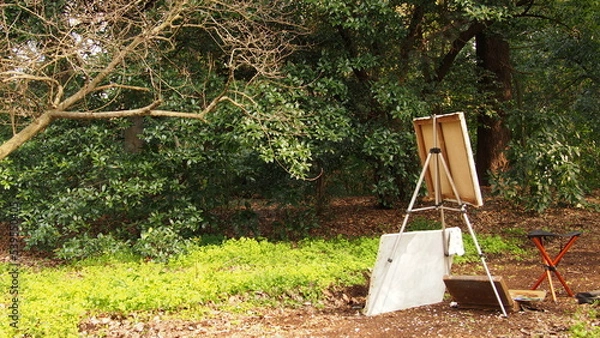 Fototapeta OLYMPUS DIGITAL CAMERA