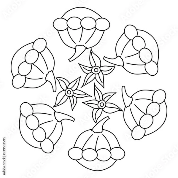 Fototapeta Bush pumpkin coloring page for kid. Simple vector mandala