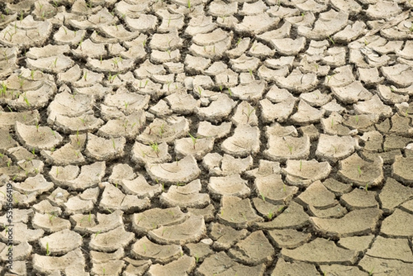Obraz dry cracked earth