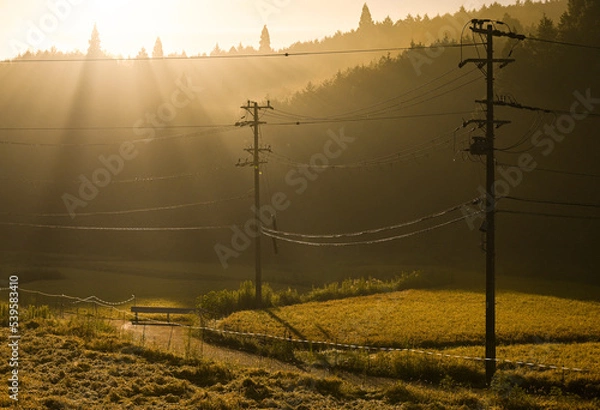 Obraz 朝霧と光芒（奈良市）