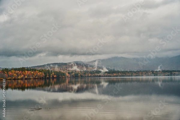 Obraz Foliage on the Lake