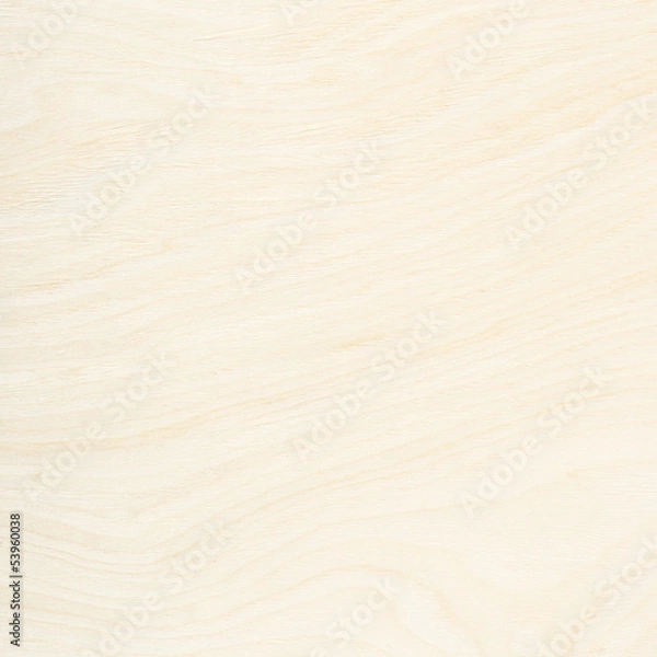 Obraz Wooden texture background