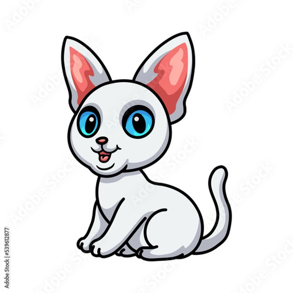 Fototapeta Cute devon rex cat cartoon sitting