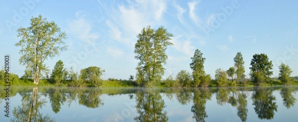 Obraz Magical Nature