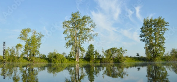 Obraz Magical Nature