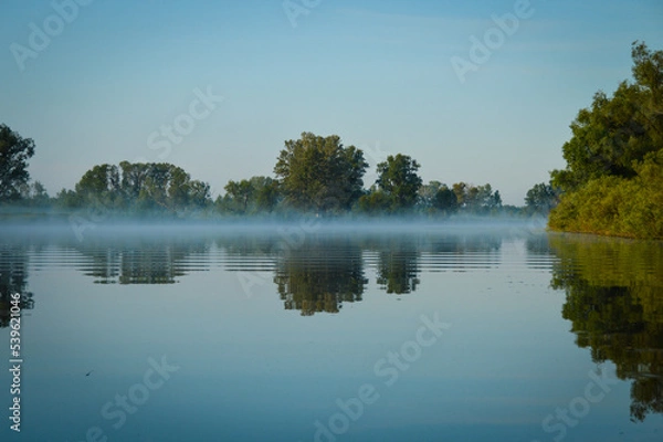 Obraz Magical Nature