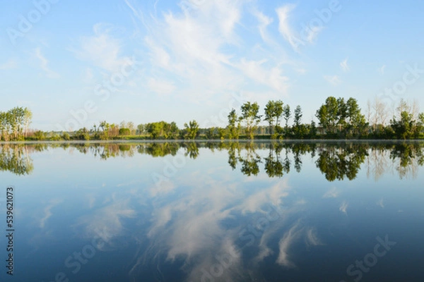 Obraz Magical Nature