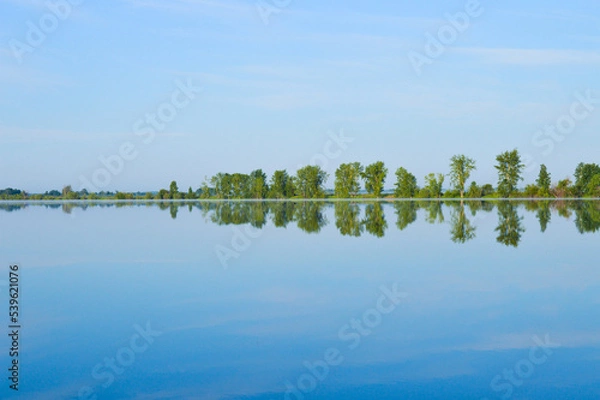 Obraz Magical Nature