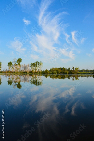 Obraz Magical Nature