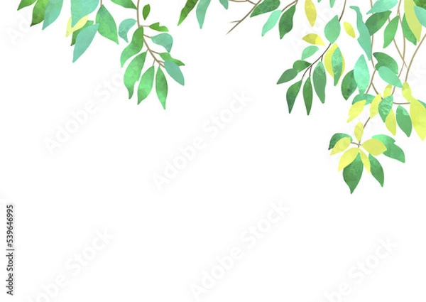 Obraz 水彩の葉　ボタニカルフレーム