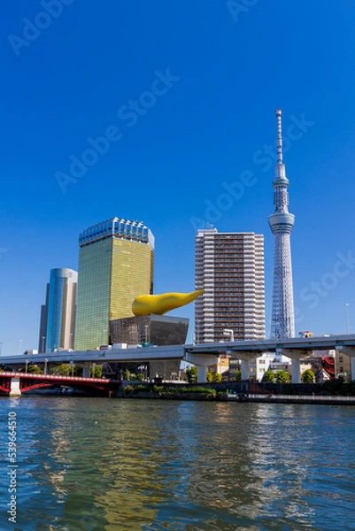 Fototapeta 隅田川から東京スカイツリーの眺め

