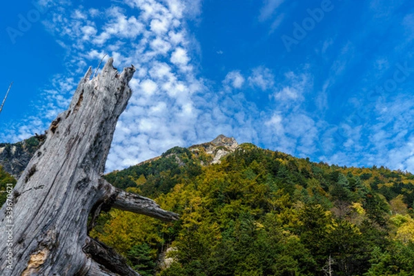 Obraz 上高地の秋空と雲