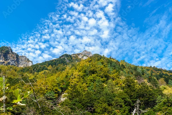 Obraz 上高地の秋空と雲