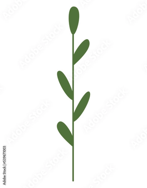 Obraz A simple green branch with small leaves. Straight stem, flat doodle style. Silhouette of a plant, handy for creating a vector brush. Green twig logo, design element. Transparent background