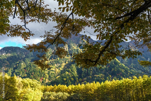 Fototapeta 秋の上高地