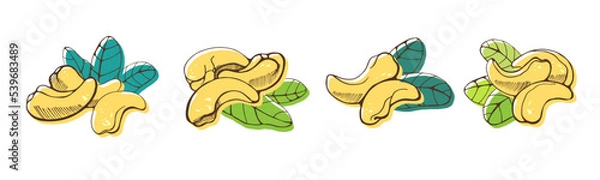 Fototapeta Set of cashew nuts on white background. Hand drawn vector illustration.