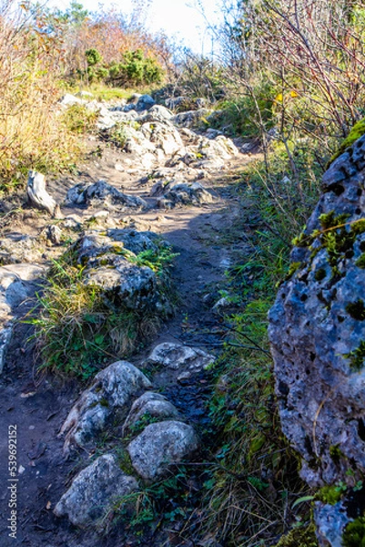 Obraz Stone mountain path