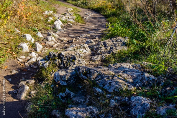 Obraz Stone mountain path
