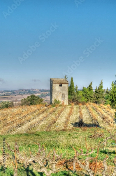 Obraz paysage provençal - buisson