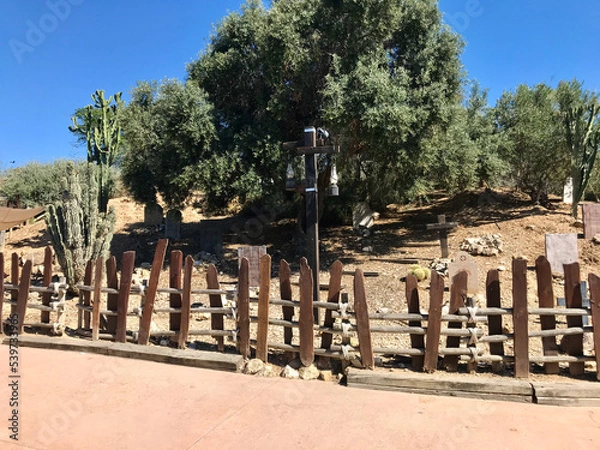 Fototapeta Salou, Spain, June 2019 - A group of giraffe standing on top of a wooden fence