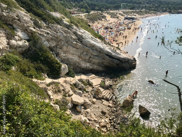 Fototapeta Salou, Spain, June 2019 - A flock of seagulls standing on a rocky hill