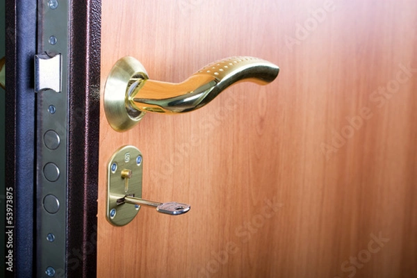 Fototapeta door lock
