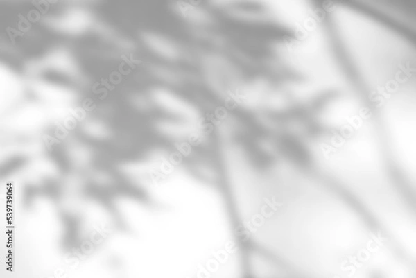 Fototapeta Shadow overlay effect on white background. Abstract sunlight background with organic shadows from plants, leaves, and branches.