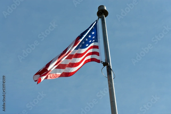 Obraz American flag flying on flagpole