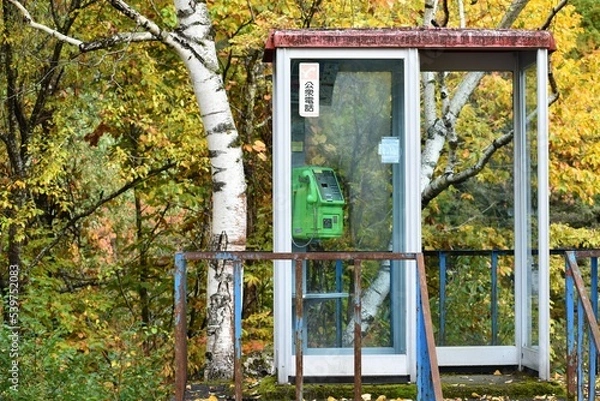 Obraz 山の中の公衆電話
