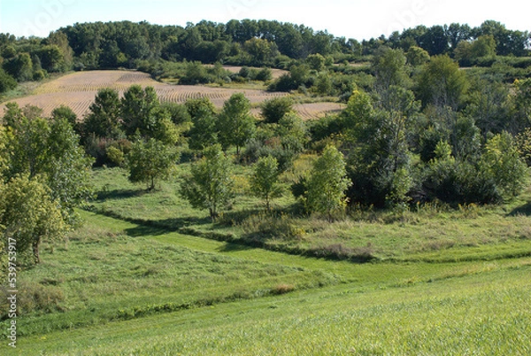 Obraz September 28, 2022. Shabbona Lake State Park, Shabbona, Illinois, USA. View of a portion of the park, seen from the dirt dam.