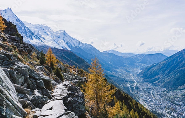 Obraz yellow larches at autumn mountain trail